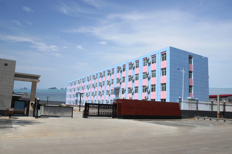 ��˾����